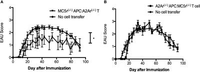 Combined Deficiency of the Melanocortin 5 Receptor and Adenosine 2A Receptor Unexpectedly Provides Resistance to Autoimmune Disease in a CD8+ T Cell-Dependent Manner